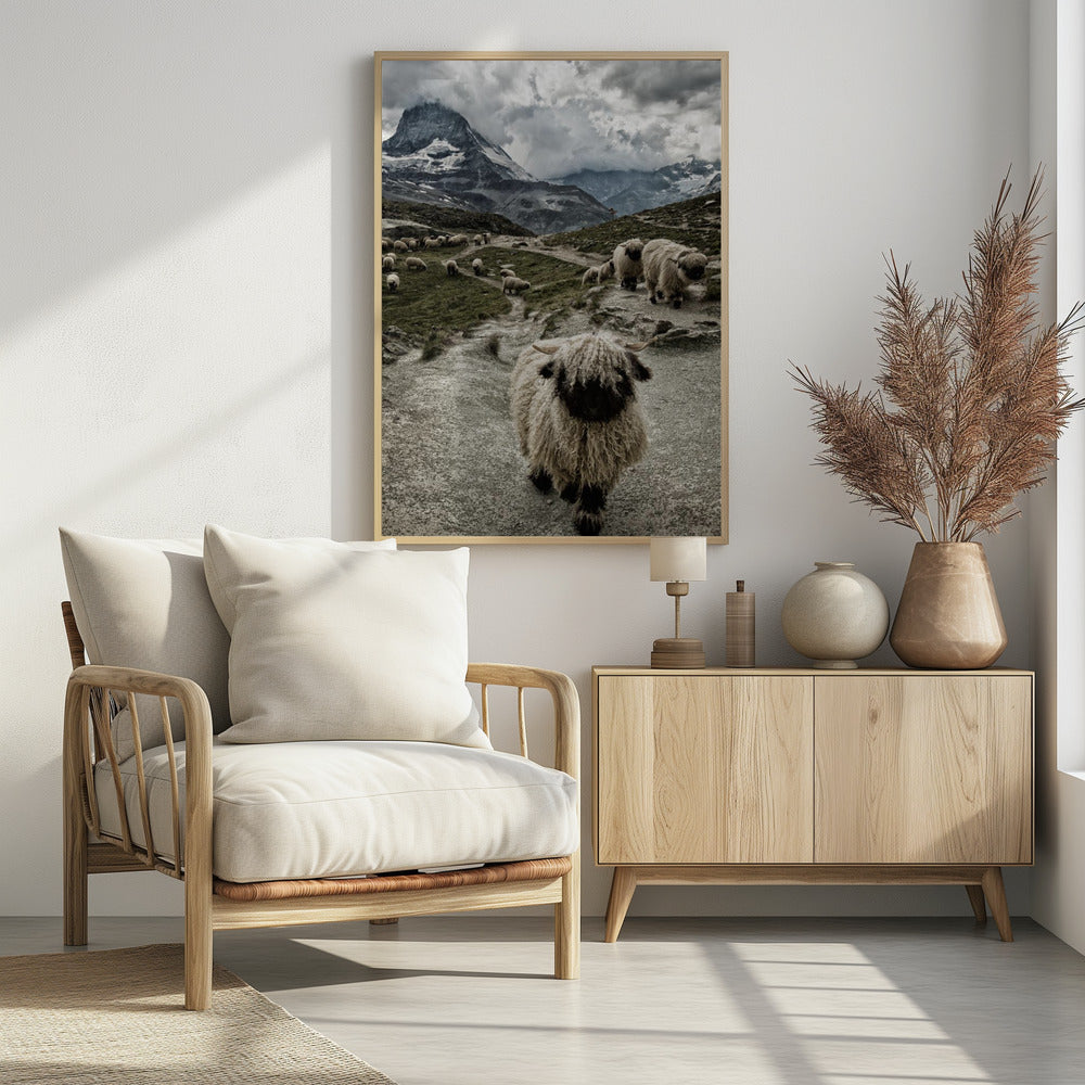 Uit de weg | Poster