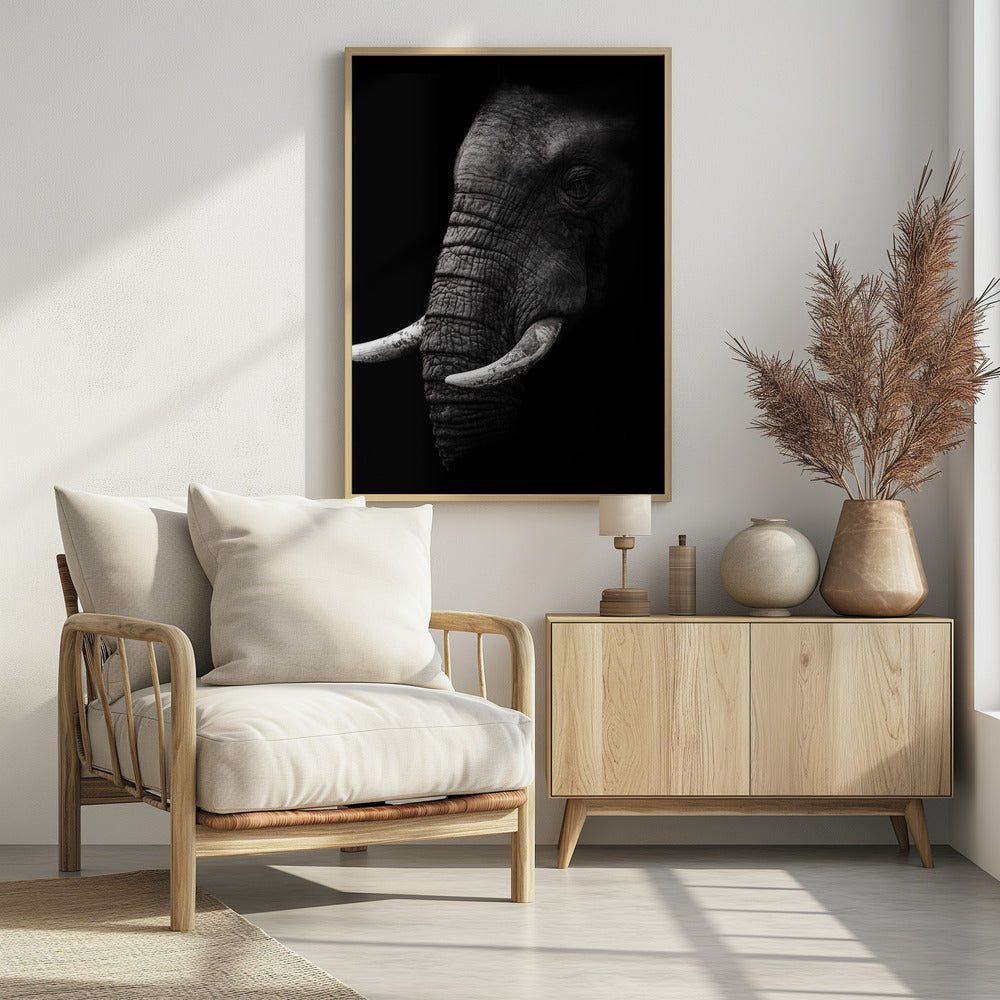 Portrait | Poster