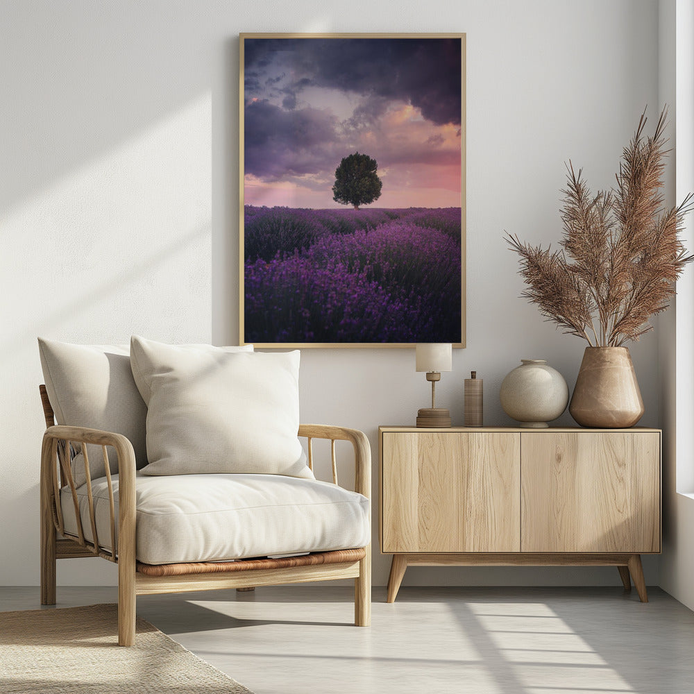 Lavendelvelden, Isparta | Poster