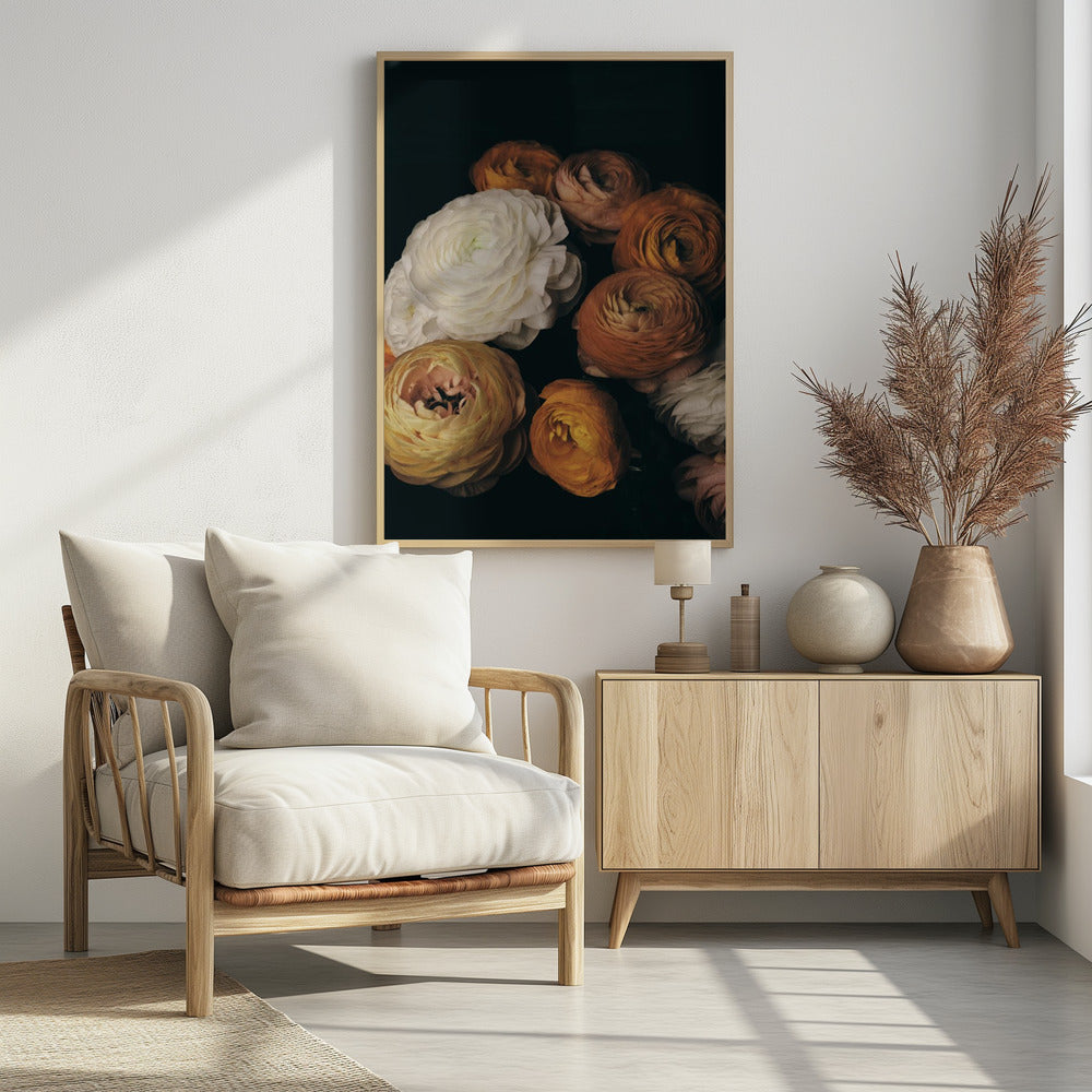 Ranonkel | Poster