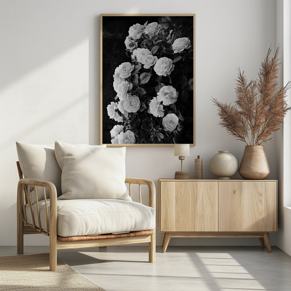 Rozenstruik | Poster