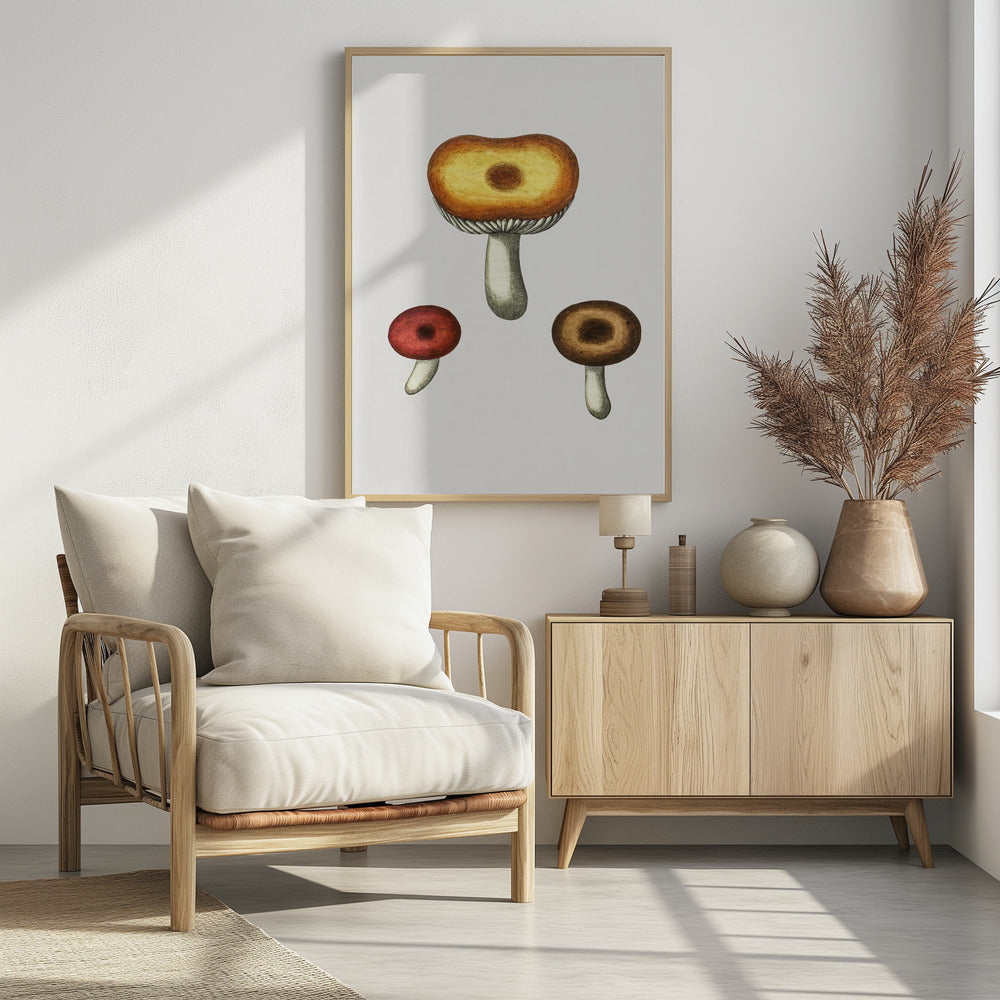 Handgetekende Galerina-paddenstoel | Poster