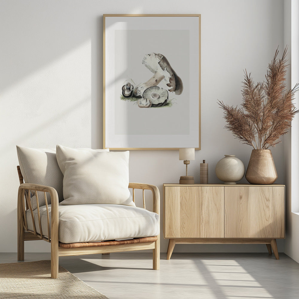 Vintage Agaricus Augustus Paddestoel 50x70 | Poster