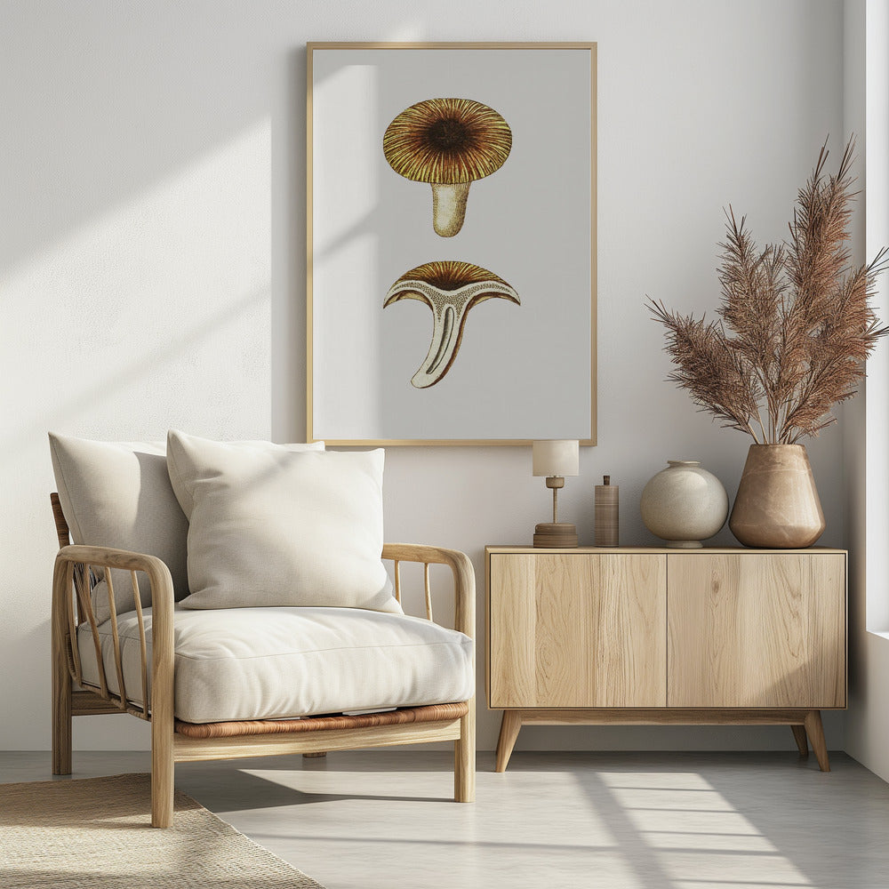 Vintage Cantharellen Eetbare Paddenstoel | Poster