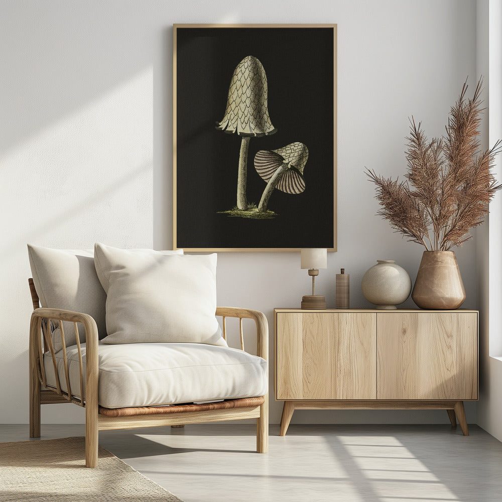 Vintage Inky Cap eetbare paddenstoel zwarte achtergrond | Poster