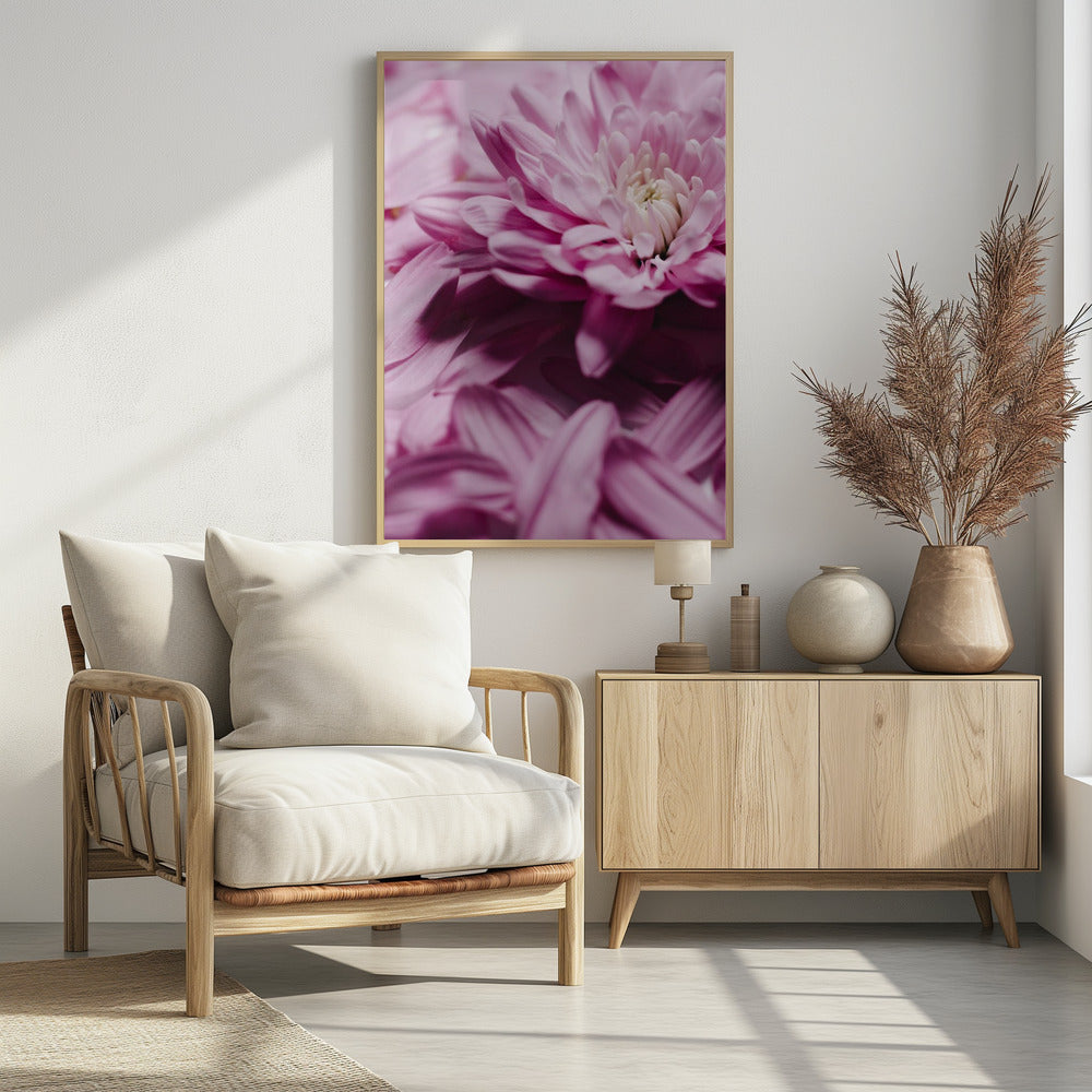 Roze Bloemblaadjes Symfonie | Poster