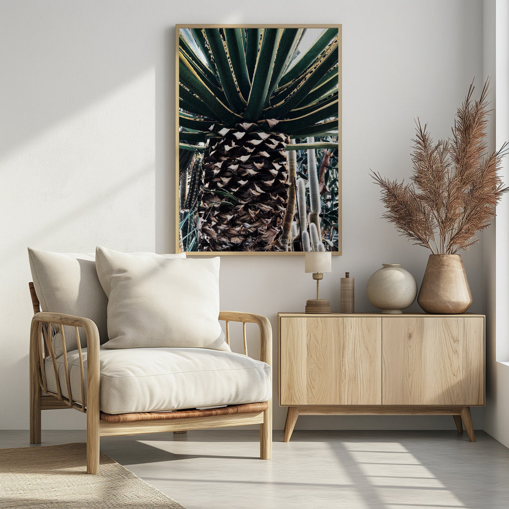 Cactusplant | Poster