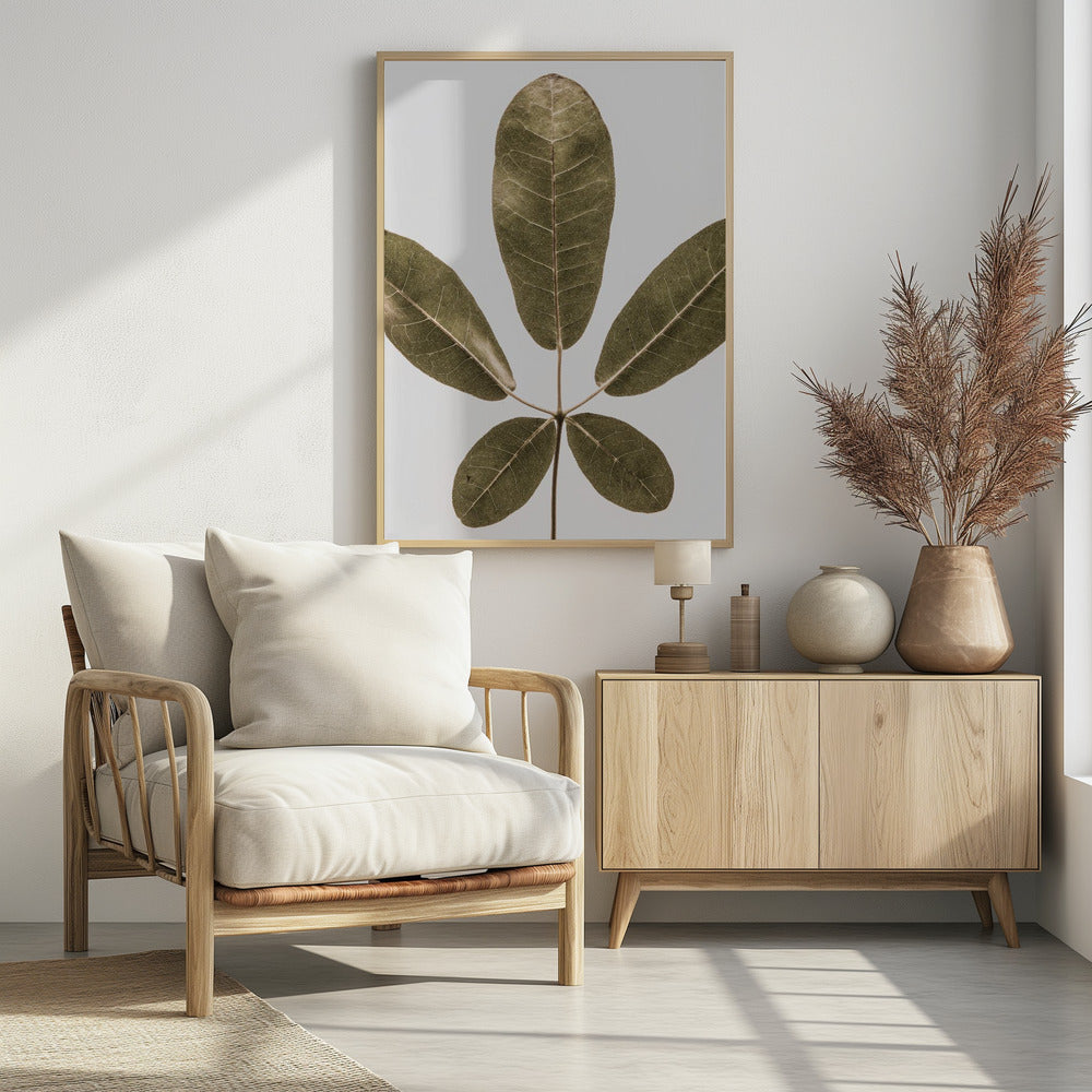 Vijfbladige Harmonie | Poster