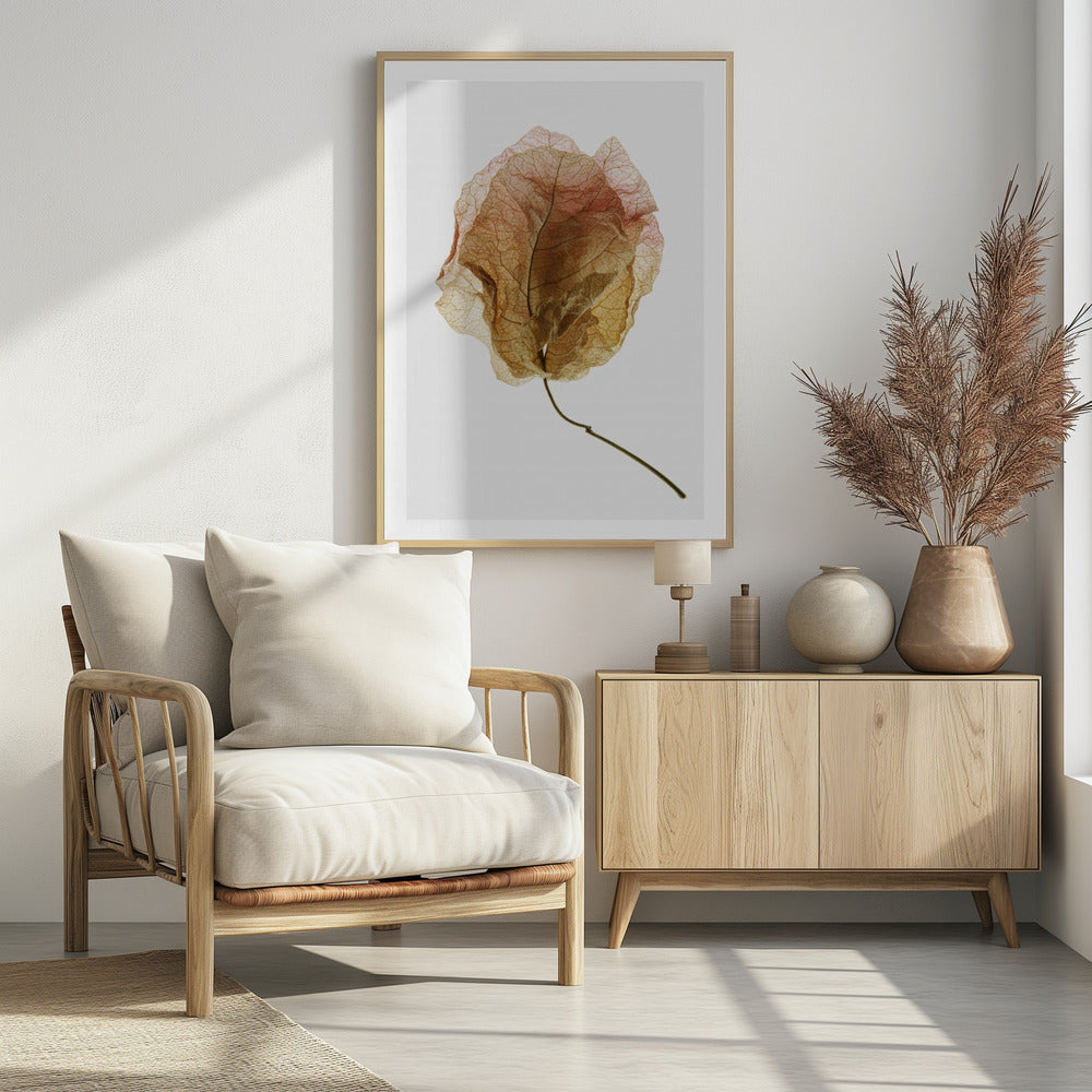 Geaderde elegantie | Poster