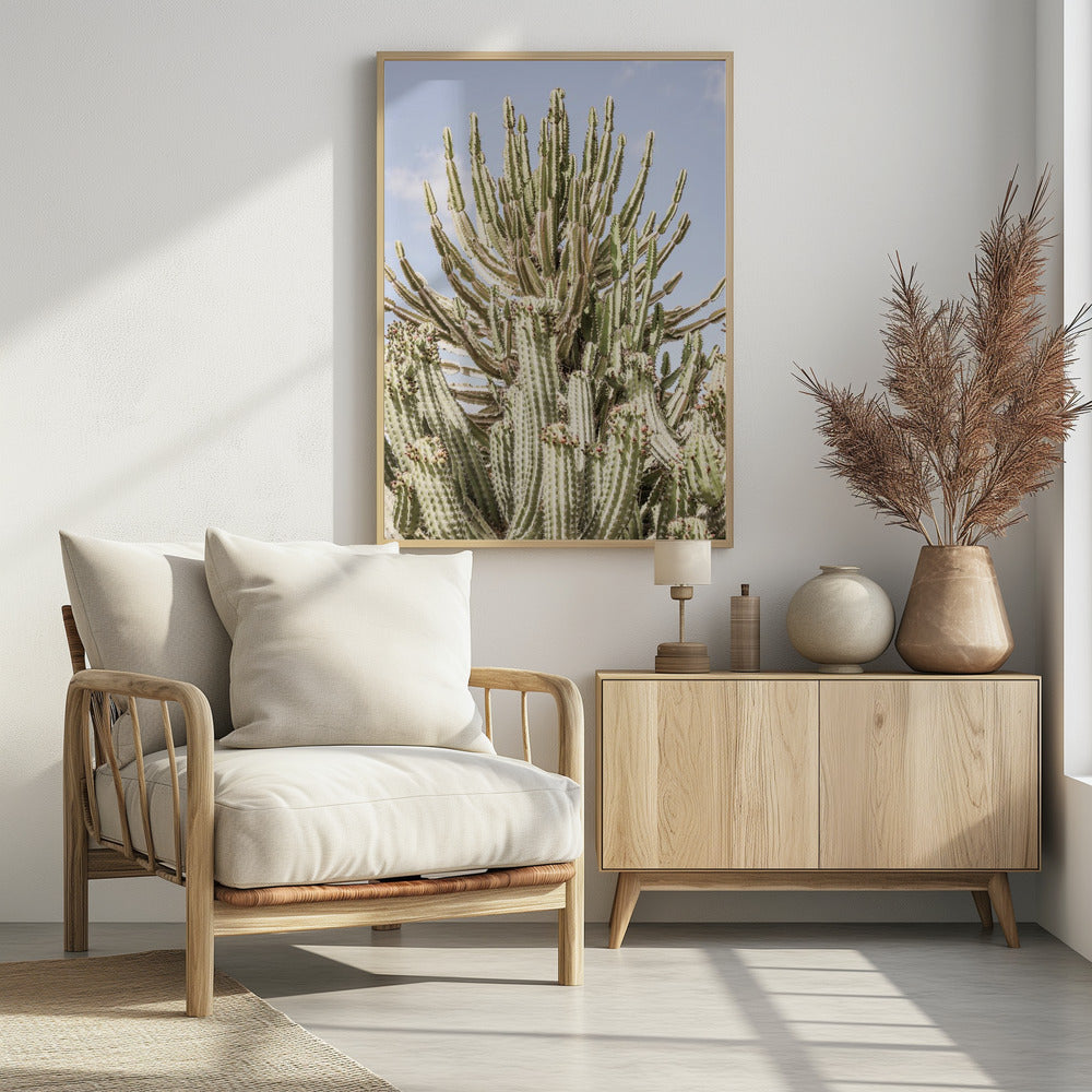 Cactus Symphony | Poster