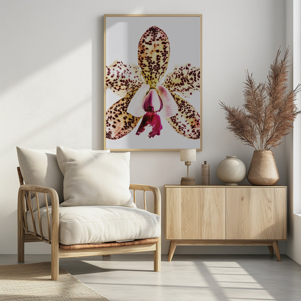 Gevlekte orchideeënuitbarsting | Poster