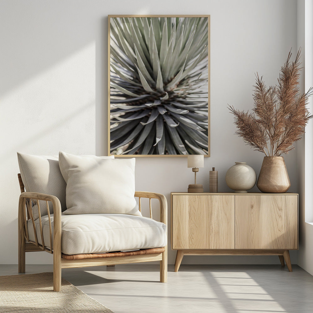 Spiky Serenity | Poster