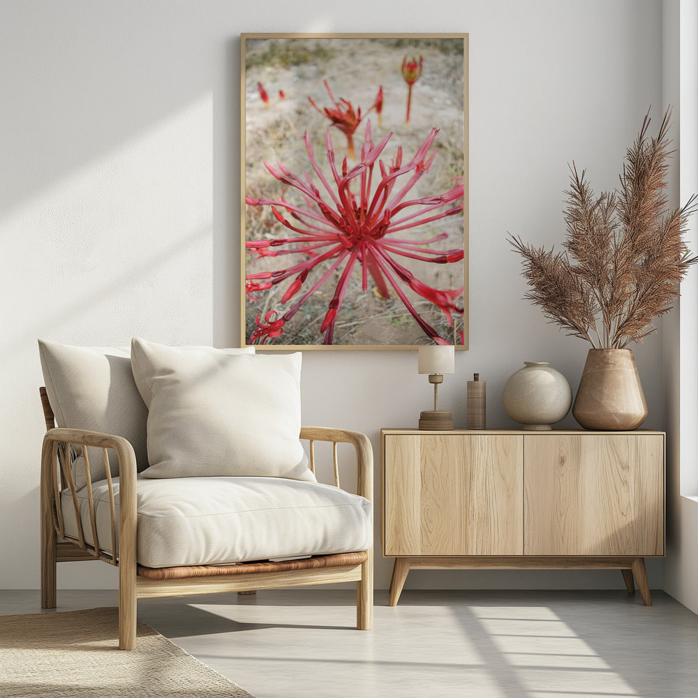 Crimson Spirals | Poster