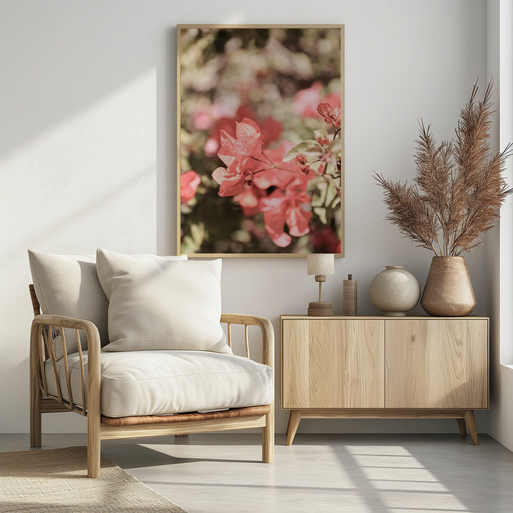 Petals in Focus | Poster