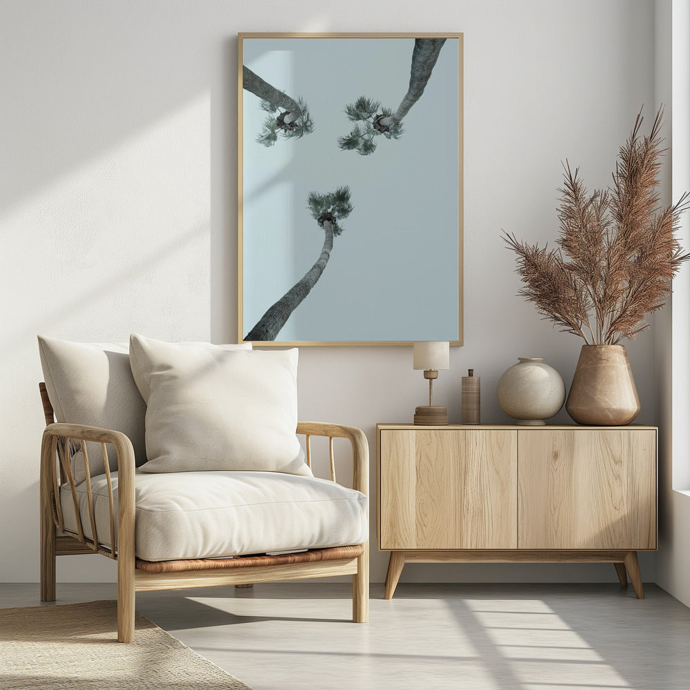 Skyward Palms | Poster