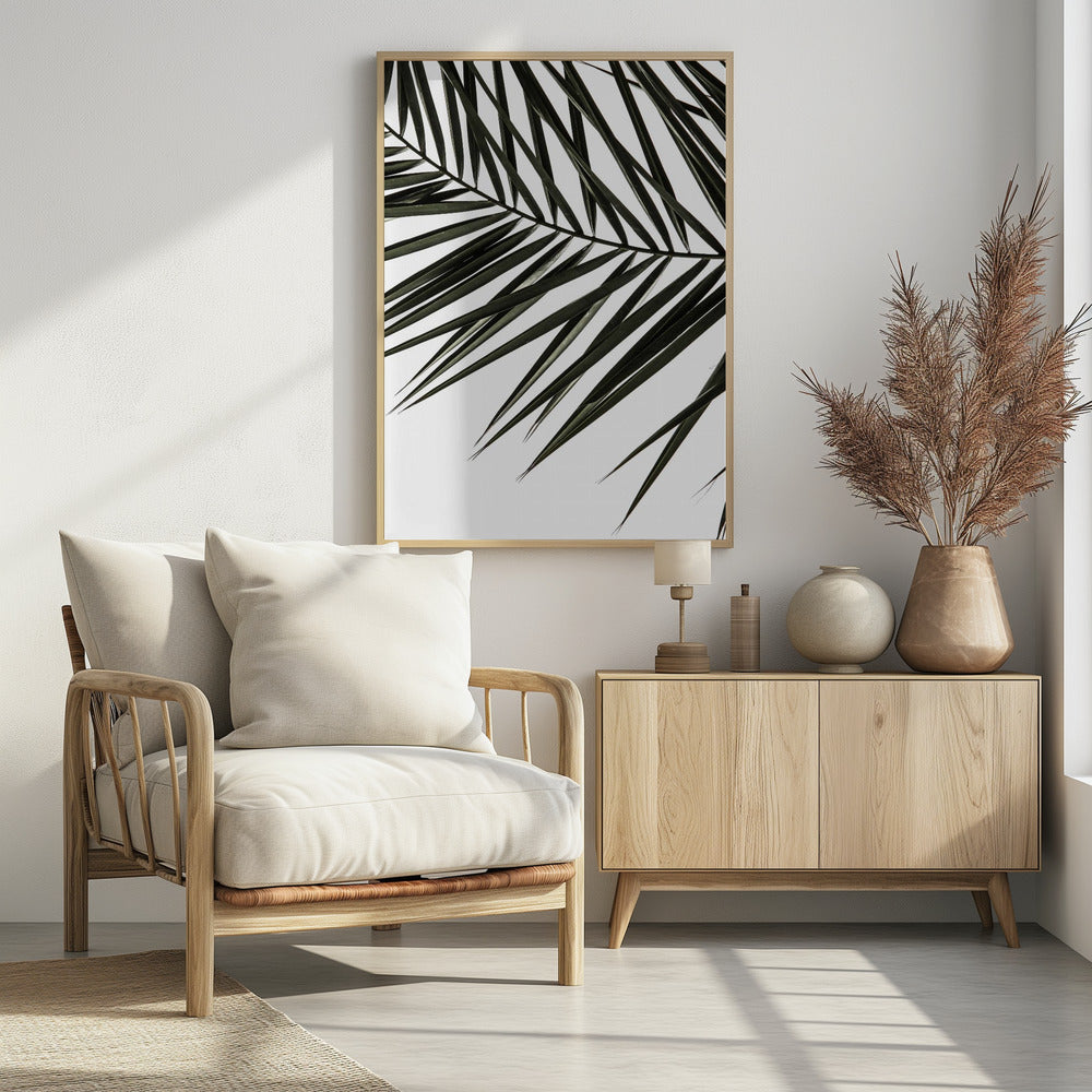 Frond Shadows | Poster