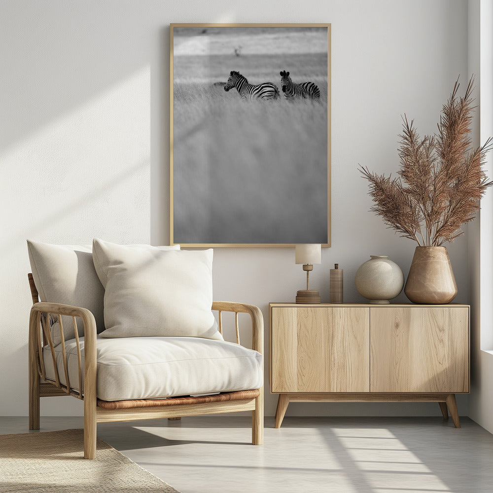 Zebras in the Mist | Poster