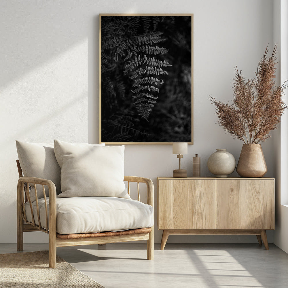 Zilveren Varen | Poster