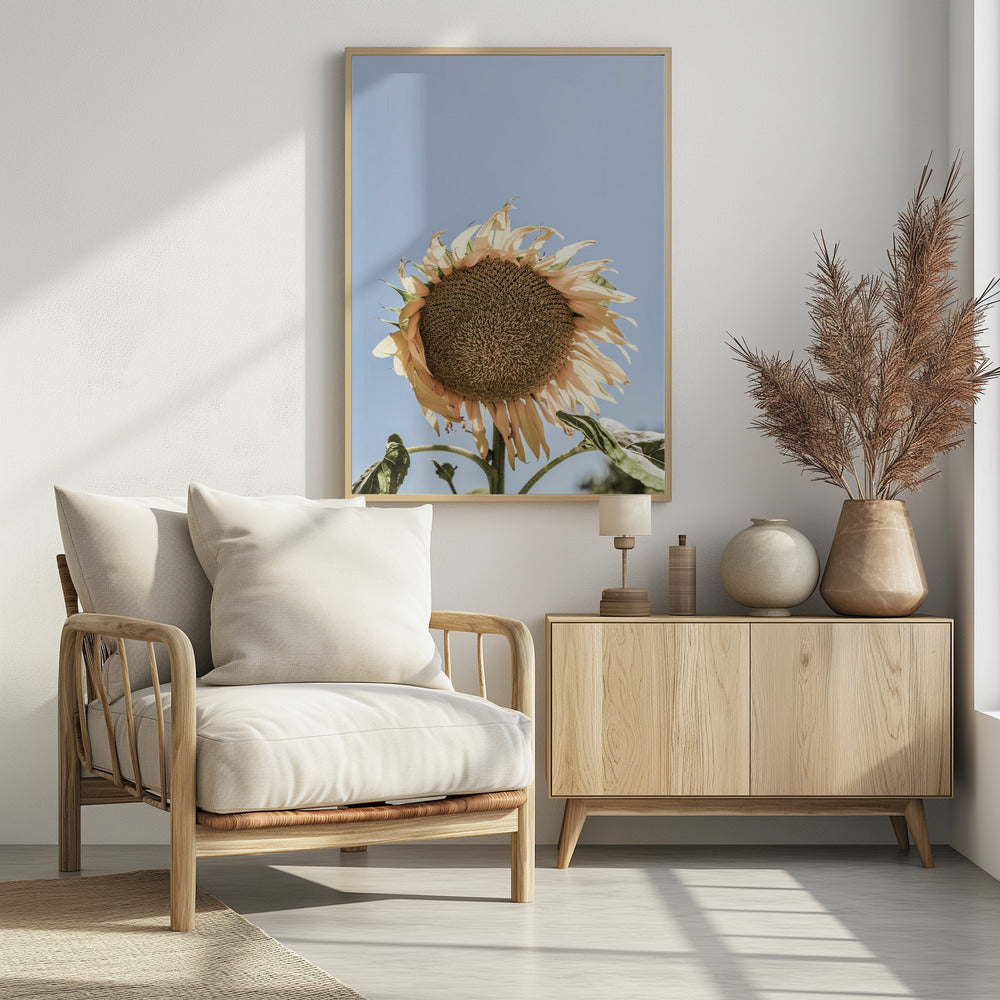 Gouden Zonnebloem Sway | Poster