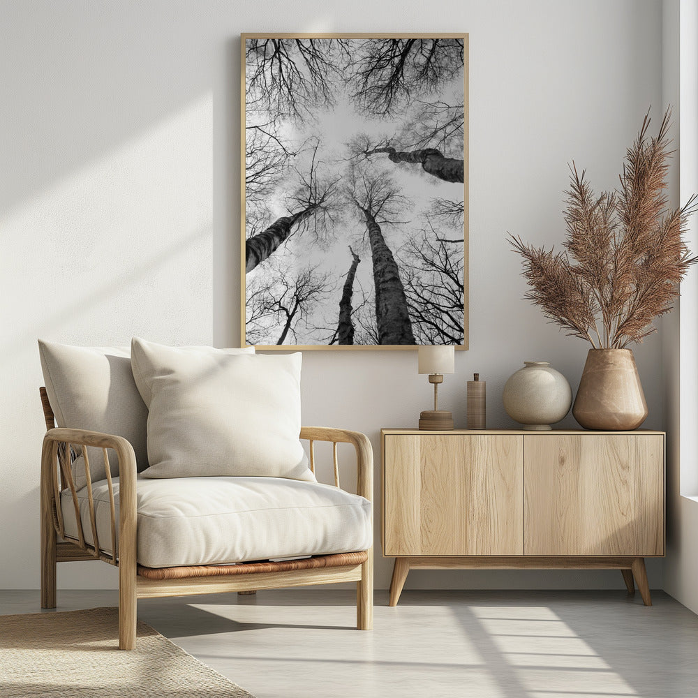 Reikende takken | Poster