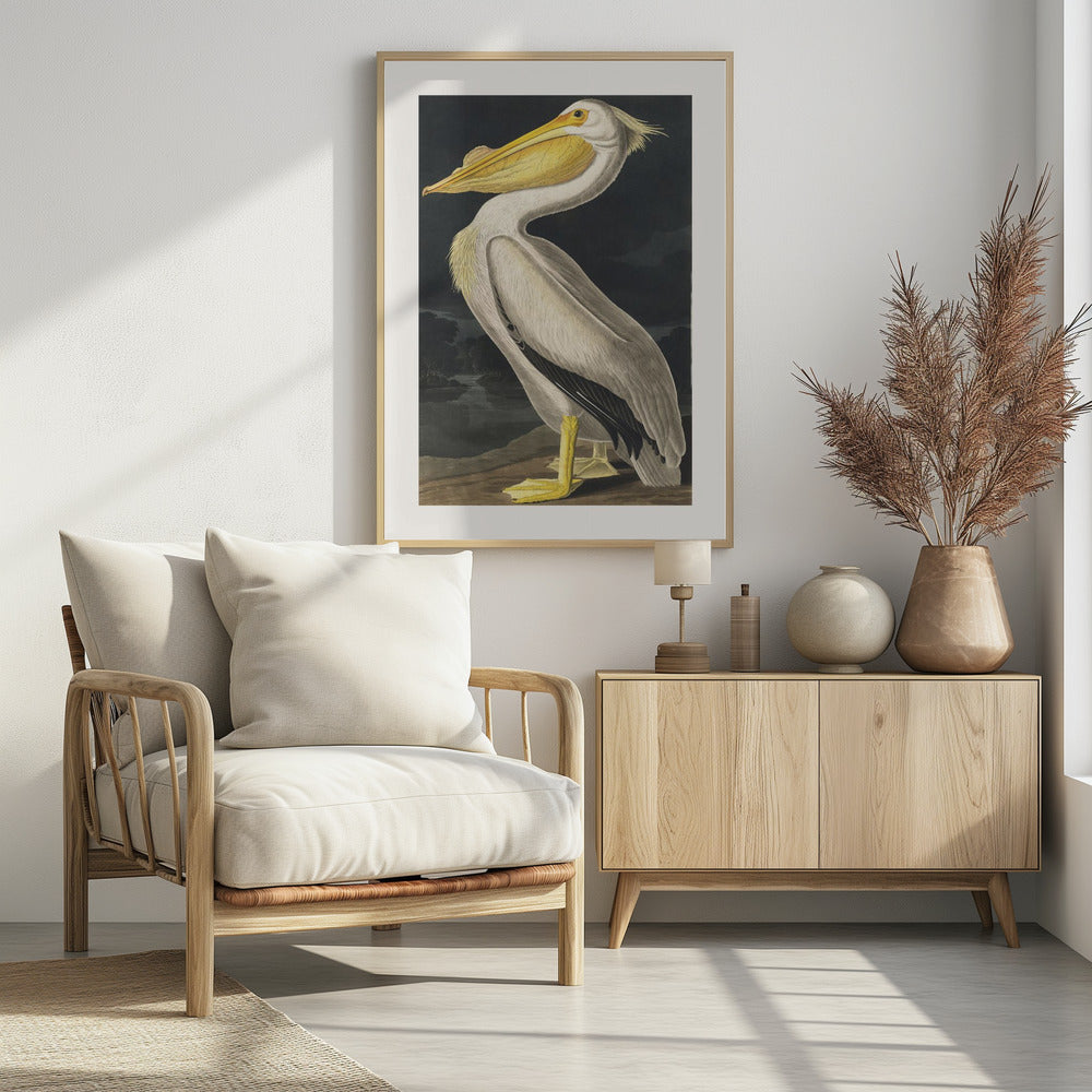 Amerikaanse witte pelikaan uit Birds of America (1827) | Poster