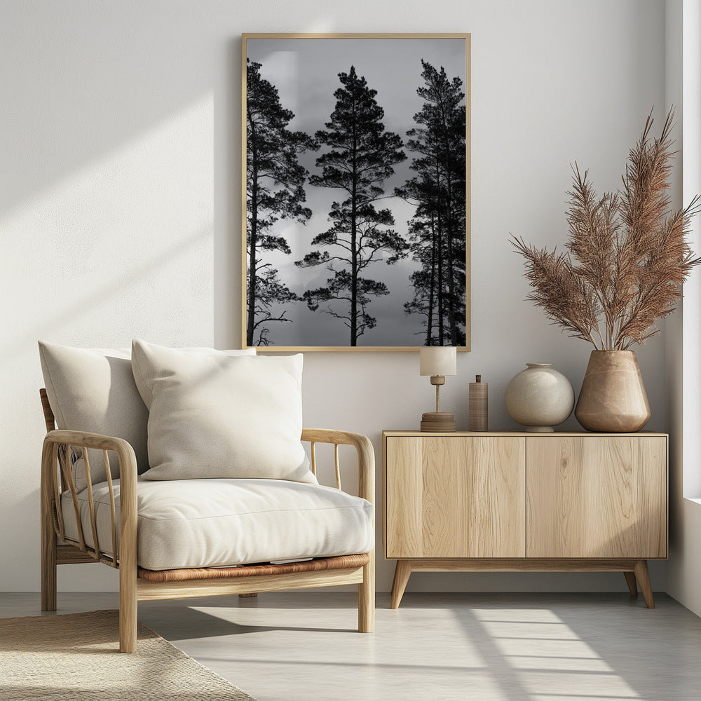 Swedish Trees | Poster