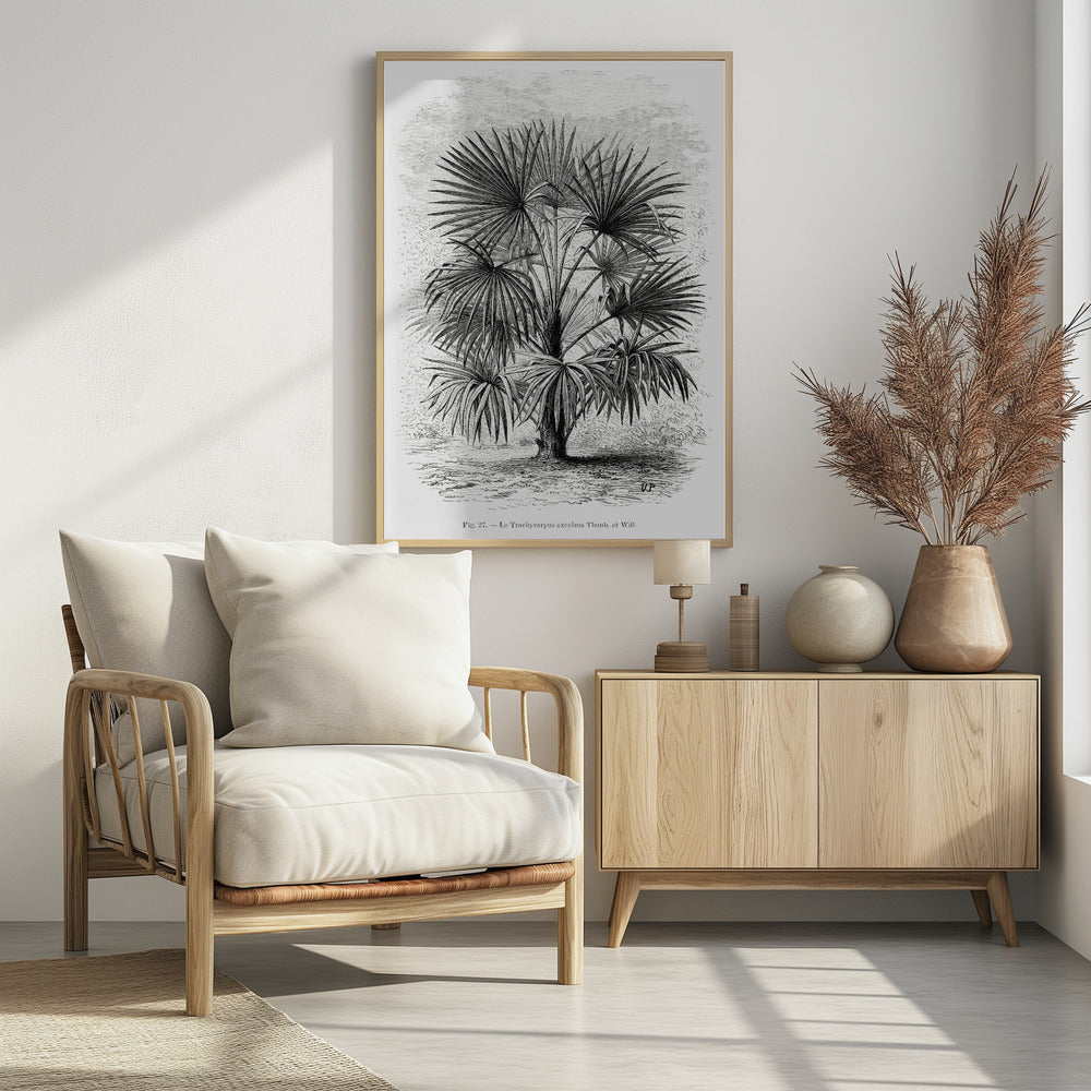 Vintage palmboom tekening Xi | Poster