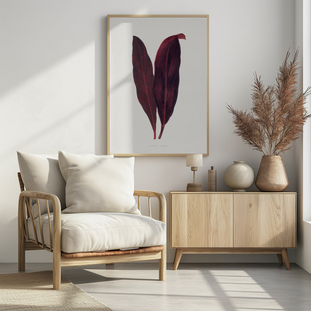 Pink Dracaena Ferrea Leaf Illustration | Poster