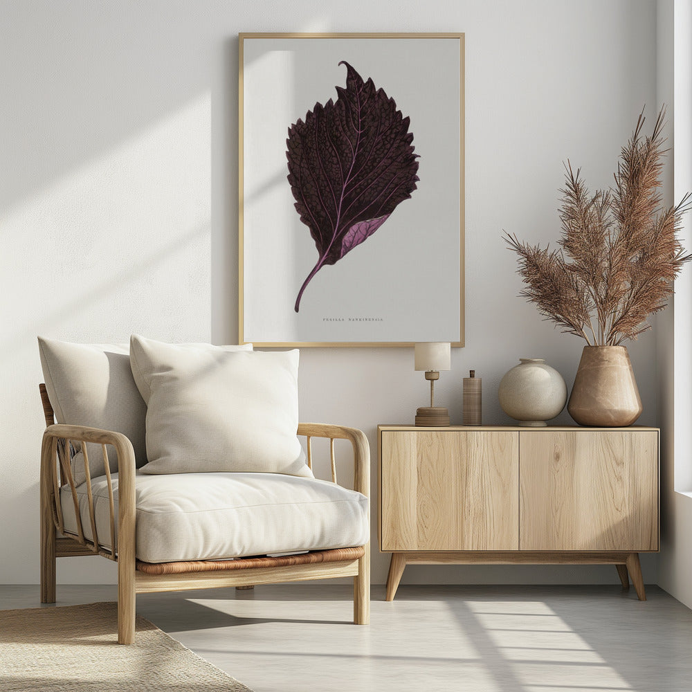 Pink Perilla Nankinensis Leaf Illustration | Poster
