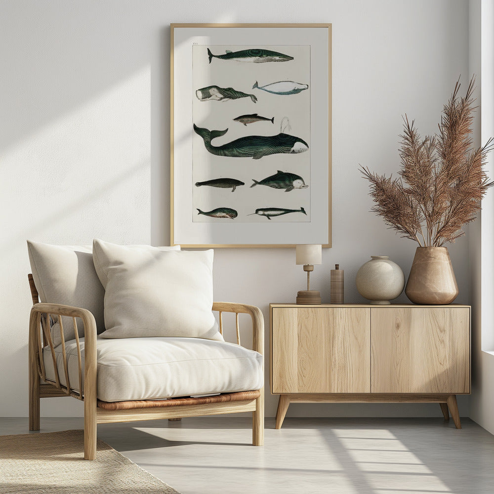 Vintage Walvisposter | Poster