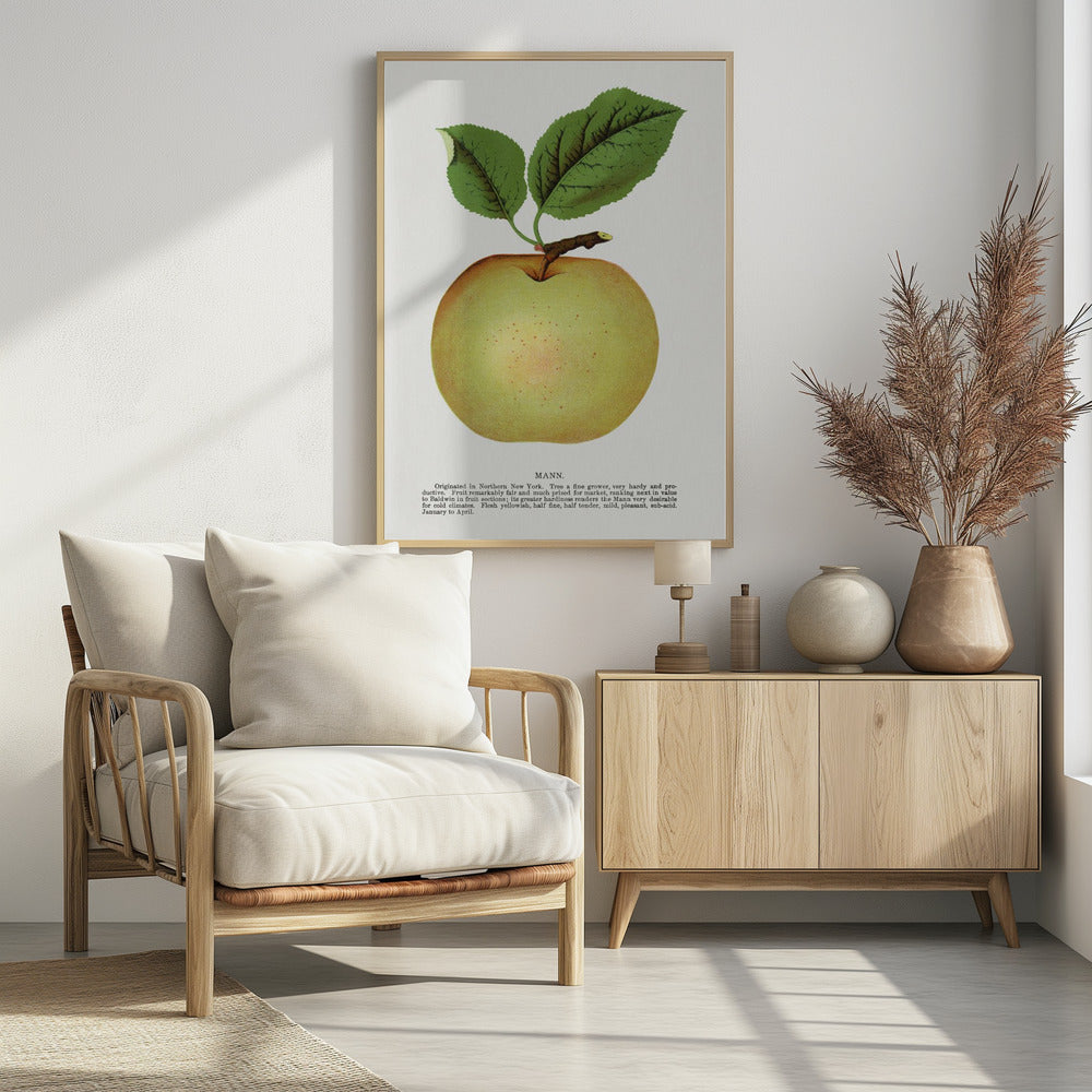 Mann Appellithografie | Poster