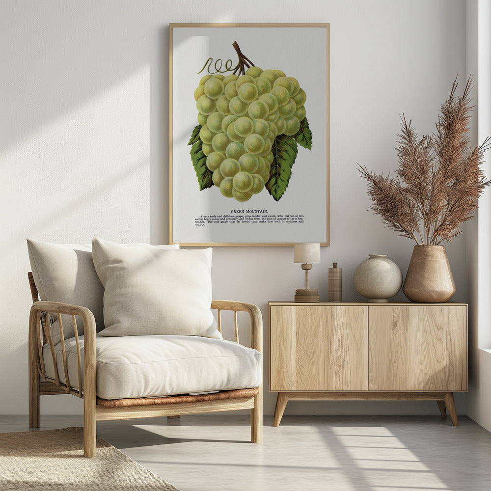 Groene bergdruiflithografie | Poster