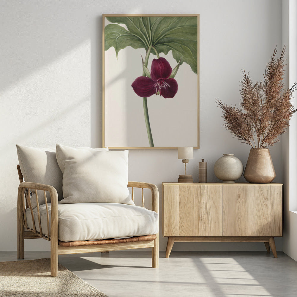 Zoete Trillium | Poster