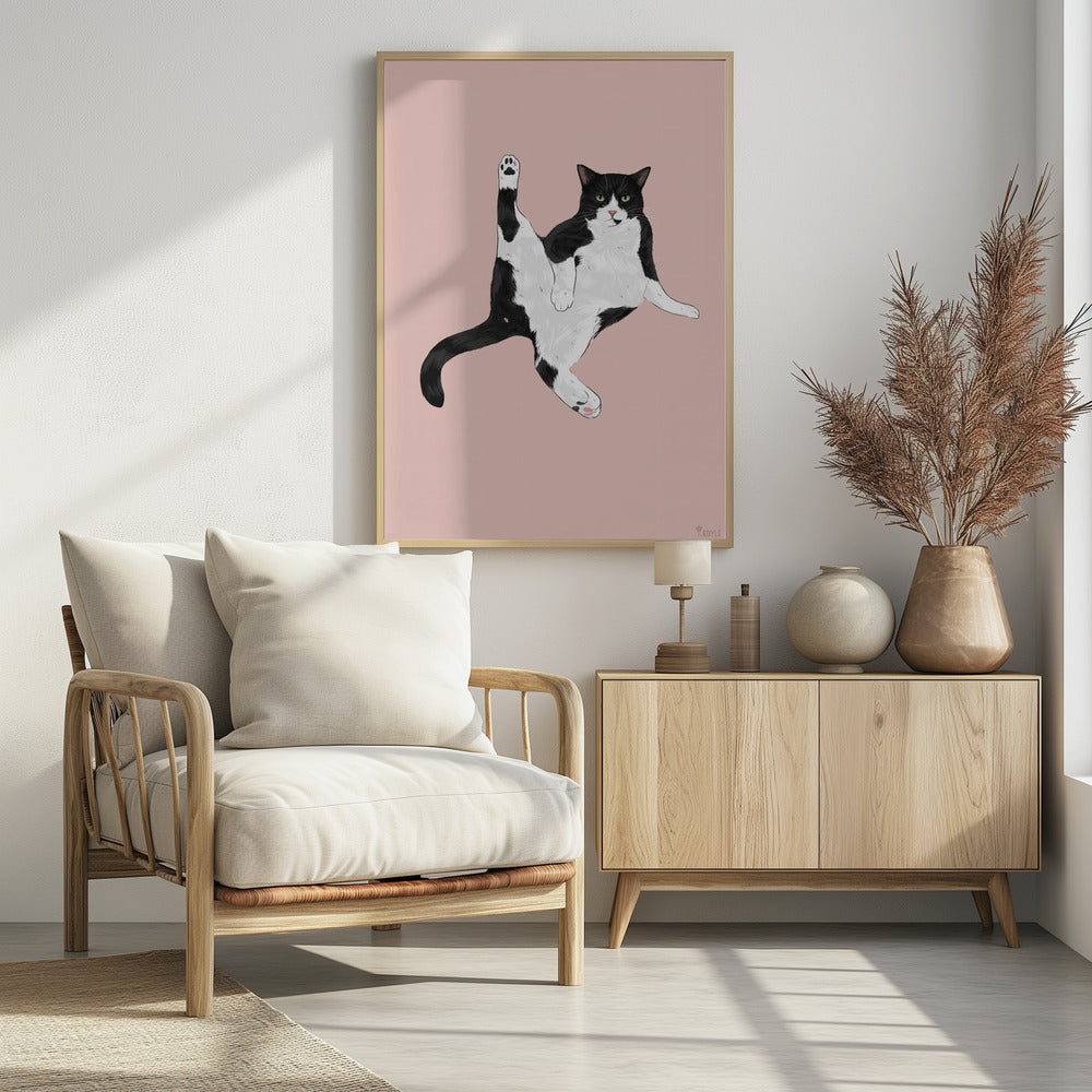 Kat in een grappige pose | Poster