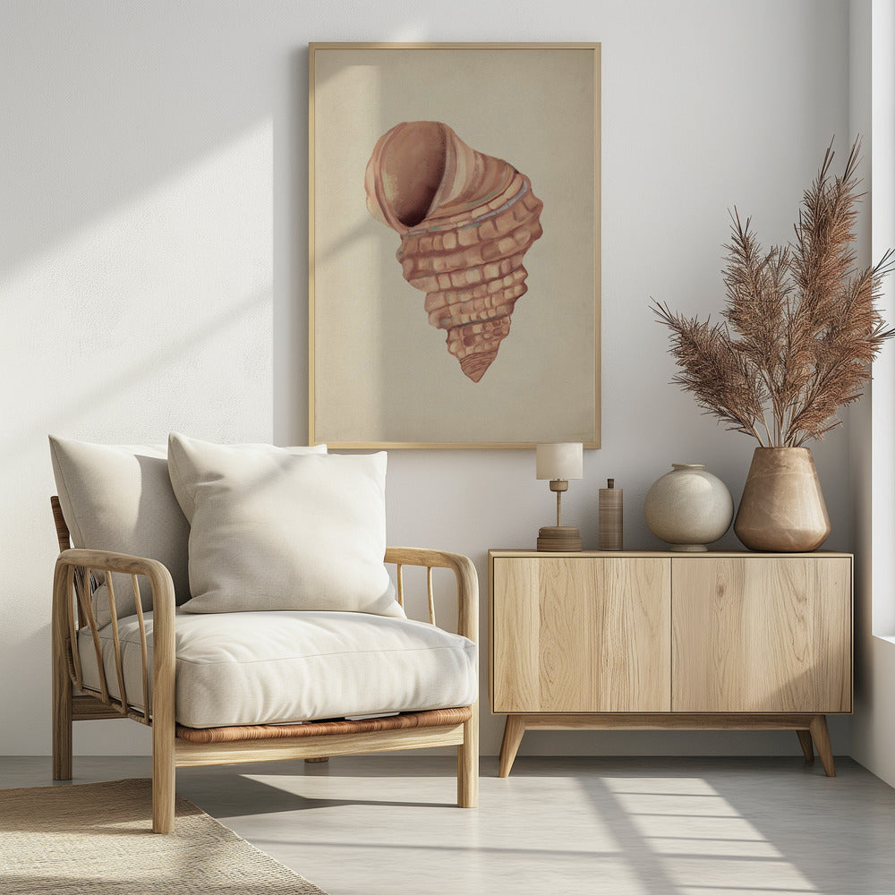 Roze schelpen | Poster