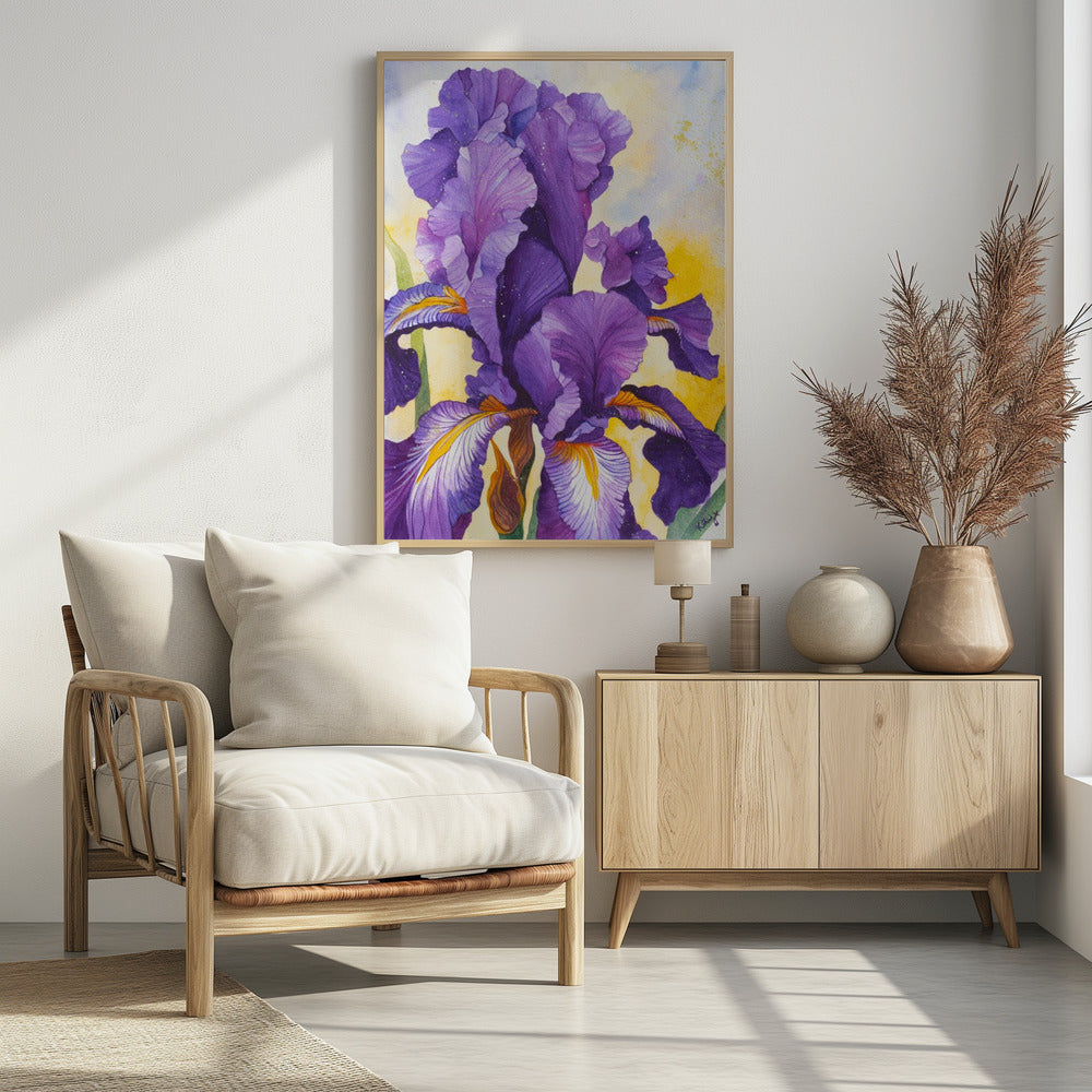 Iris aquarel | poster