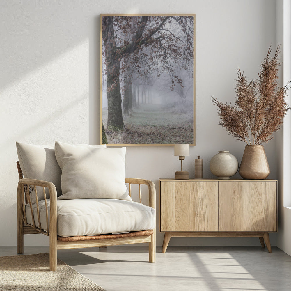 Mistige winterochtend 3 | Poster