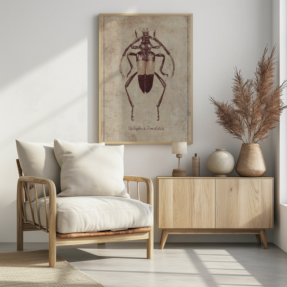 Vintage Insectenschets | Poster