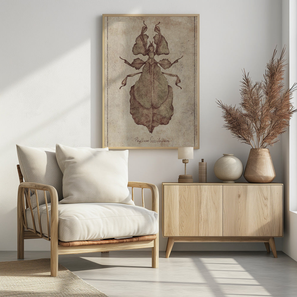 Phyllium Siccifolium Kopie | Poster