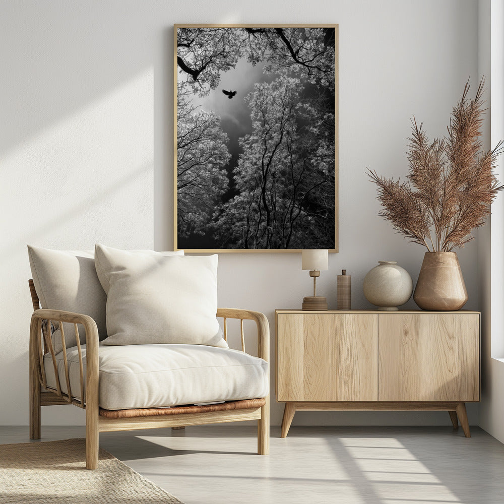 Vlucht | Poster