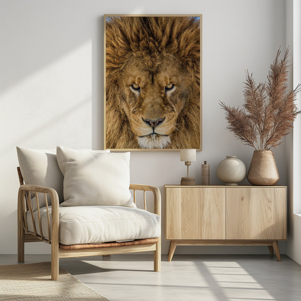 Serieuze Leeuw | Poster