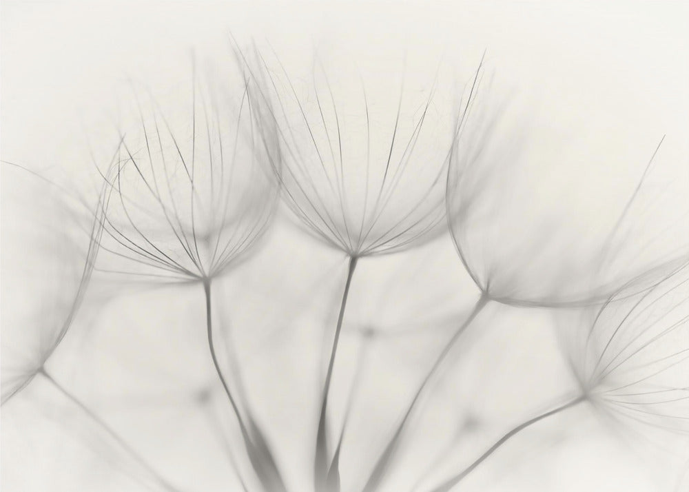 Geen titel | Canvas