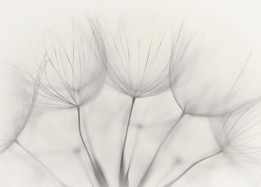 Geen titel | Canvas