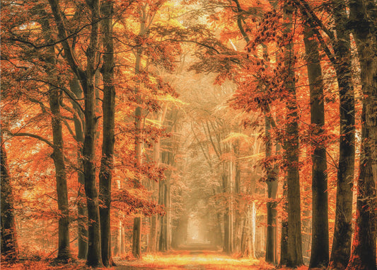 Verlaat de portal | Canvas