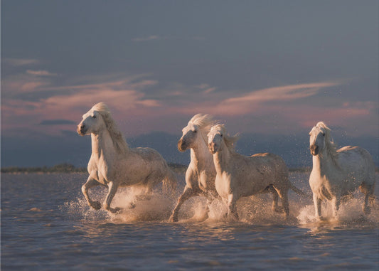 Engelen van de Camargue | Behang