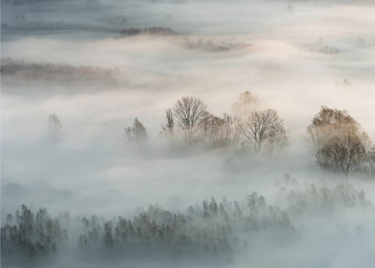 Wintermist | Behang