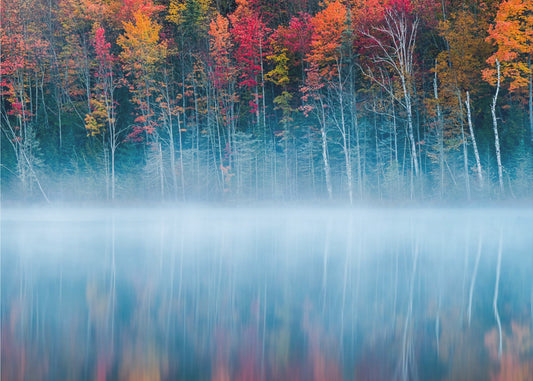 Ochtendreflectie | Canvas