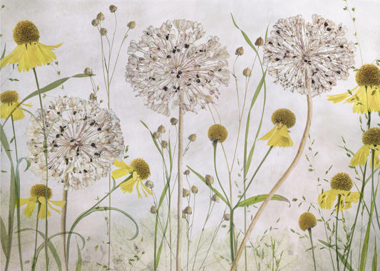 Alliums en heleniums | Behang