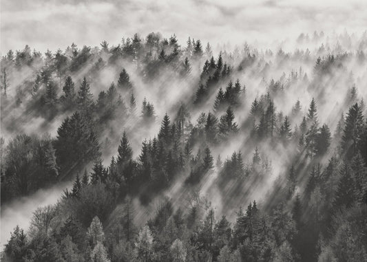 Sundance nr. 1 | Canvas