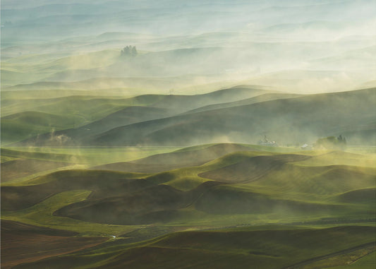 Gouden Ochtend-Palouse | Canvas